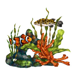 A bright composition with an underwater world. Red coral, seaweed, tropical clown fish and leopard-colored fish. Digital illustration. For printing, stickers, posters, postcards, prints