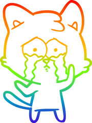 rainbow gradient line drawing cartoon crying cat