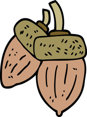 cartoon doodle acorn