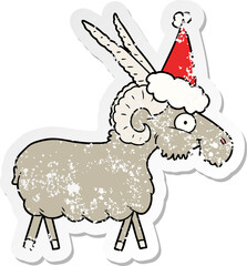 distressed sticker cartoon of a goat wearing santa hat