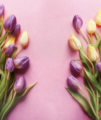 Beautiful floral springtime frame with purple and yellow tulip flowers bunch at pink background,...