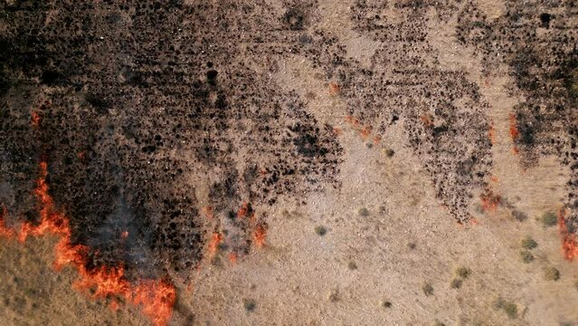 Aerial view above fire raging in the grasslands, drought causing wildfires - top down, drone shot