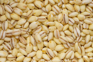 Close up of pearl barley