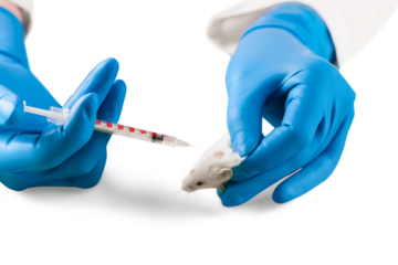 Vaccine test on laboratory mouse, Lab rat