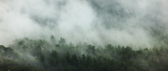 Obraz na płótnie Canvas rain clouds over the forest. Mountain landscape. . Turkey.