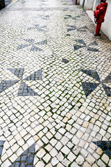 Beautiful Cobblestone pavement forming blades in Lisbon