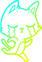 cold gradient line drawing crying cartoon cat