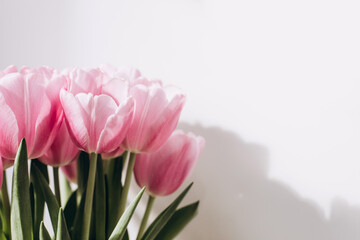 Gently pink bouquet of tulips in a white vase. Spring background with a bouquet of flowers. Front view