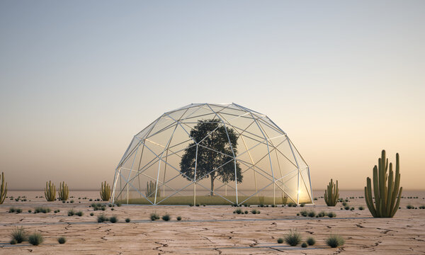 tree under a glass dome in desert area - 3D Illustration