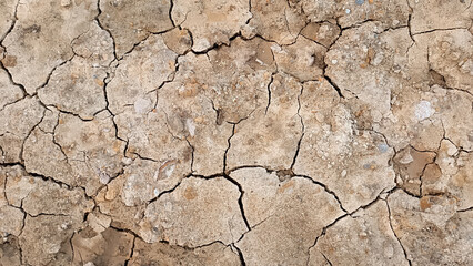 Dry cracked earth