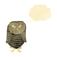 cartoon owl with thought bubble