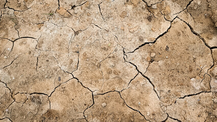 Dry cracked earth