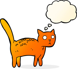 cartoon frightened cat with thought bubble