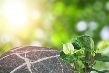 Natural stone podium on green background