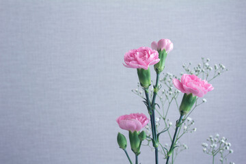 Pink carnations and hazel in blue space with copy space to the left