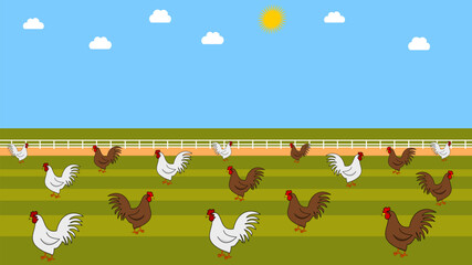 Illustration of white and brown chickens in a barnyard with beautiful blue sky © koft