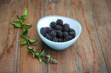 In einer Glasschale liegen viele reife Brombeeren. Daneben ein Minzezweig.