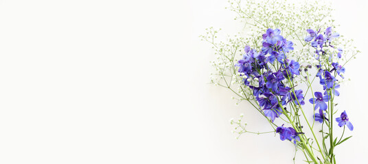 Fototapeta na wymiar Top view image of violet delphinium flowers composition over white isolated background
