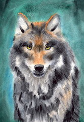 Watercolor illustration of a fluffy gray wolf with yellow eyes on an emerald green background