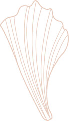 Seashell doodle illustration for decoration on marine life ,summer holiday and coastal concept.