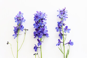 Naklejka premium Top view image of violet delphinium flowers composition over white isolated background
