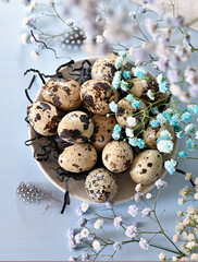 Obraz premium Create an Easter composition of Easter quail eggs and flowers on a blue background. A gentle greeting card for the Easter holiday.Top view, copy location, flat layout.