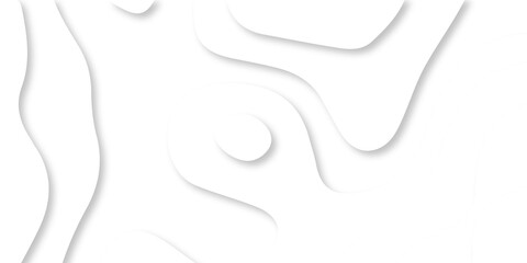 	
Abstract Luxury paper cut background, Abstract decoration, white pattern lines gradients, 3d Vector illustration, topographic canyon map light relief texture, curved layers.