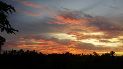 Colorful sunset in the forest with the tranquility of the countryside