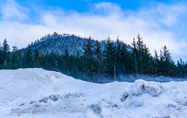 Fototapeta premium Mountain Snow And Trees 5