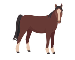 Brown Horse. Farm domestic animal icon isolated on white background. Vector flat or cartoon illustration.
