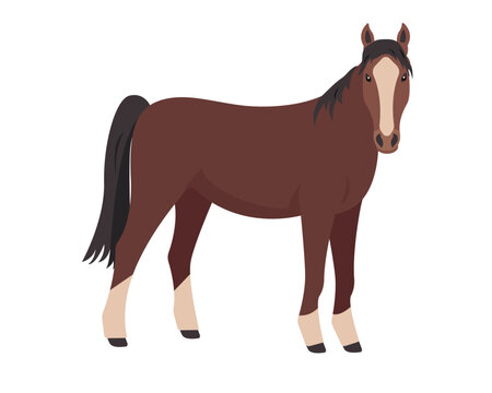 Brown Horse. Farm domestic animal icon isolated on white background. Vector flat or cartoon illustration.