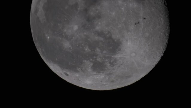 Migrating birds fly in the night sky with a full moon.