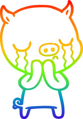 rainbow gradient line drawing cartoon pig crying