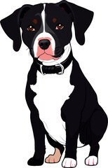 Pet dog illustration vector art