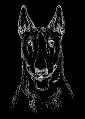 Obraz premium Engraving illustration of a Bull Terrier dog on a black background