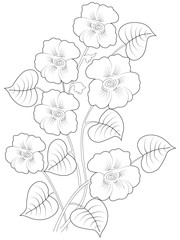 Abstract floral ornament. Hand drawn doodle. Vector illustration