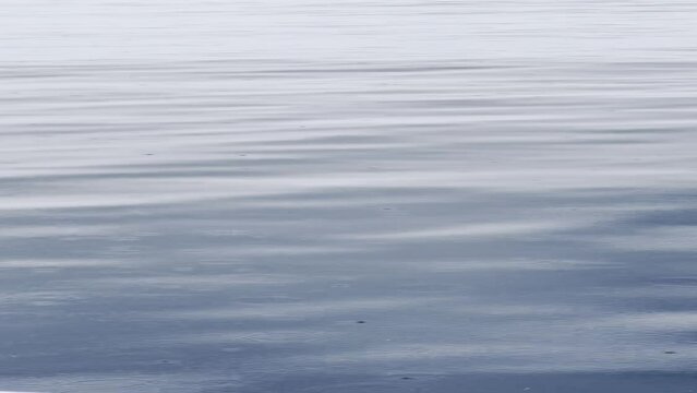 water ripples in the sea of Okinawa, Japan