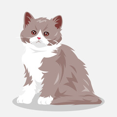 cute kitten cartoon illustration. full body. pet, kitten. for print, sticker, poster, and more.