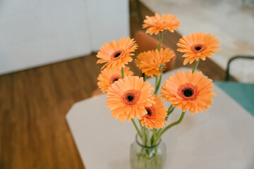 Orange daisy Gerbera jamesonii daisy flower in vase on table 