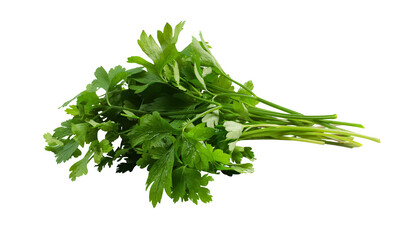 Big fresh parsley bunch isolated on transparent background. Many leaf celery sprigs. Aromatic...