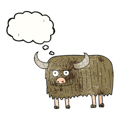 thought bubble textured cartoon hairy cow