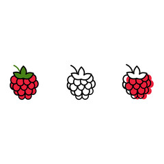 Raspberry. Vector icon design. Linear illustration. Berries, healthy food