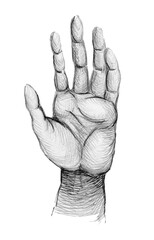 Hand . Hand drawing sketch black illustration design.