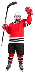 Portrait of professional hockey player. Isolated on white