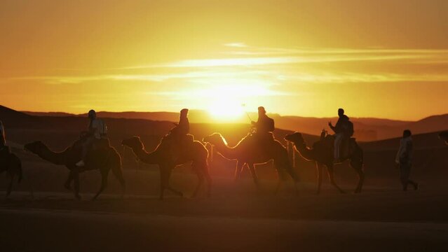 Camel caravan in the desert in Morocco