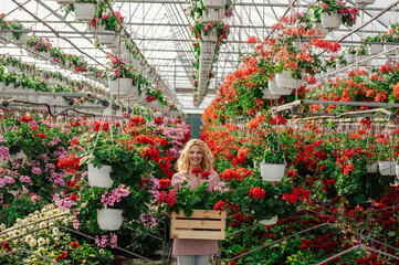 Fototapeta na wymiar Young woman working in a greenhouse and holding wooden box full with flowers
