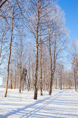 Road in the snow in winter forest