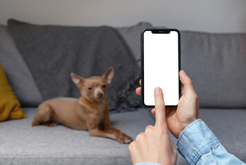Fototapety na wymiar - Fototapeta24.pl