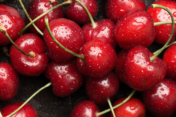 Sweet ripe cherries with water drops. Close up view