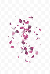 Lilac Leaves Motion Vector White Transparent